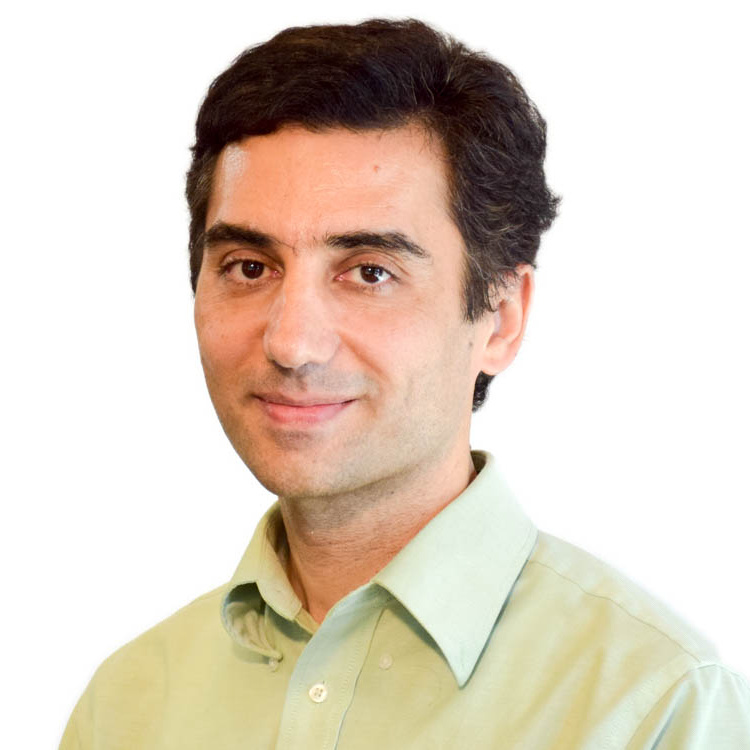Daryoosh Vashae